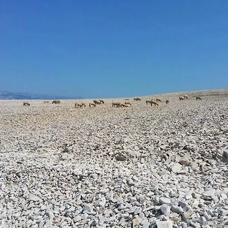 Pag * Vlasici